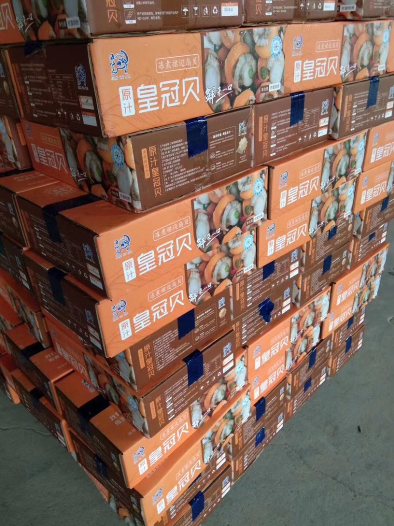 扇贝肉20-40-60-80