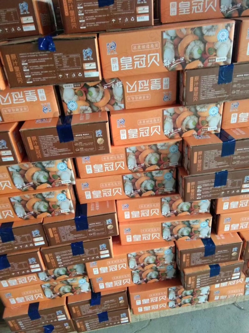 扇贝肉20-40-60-80