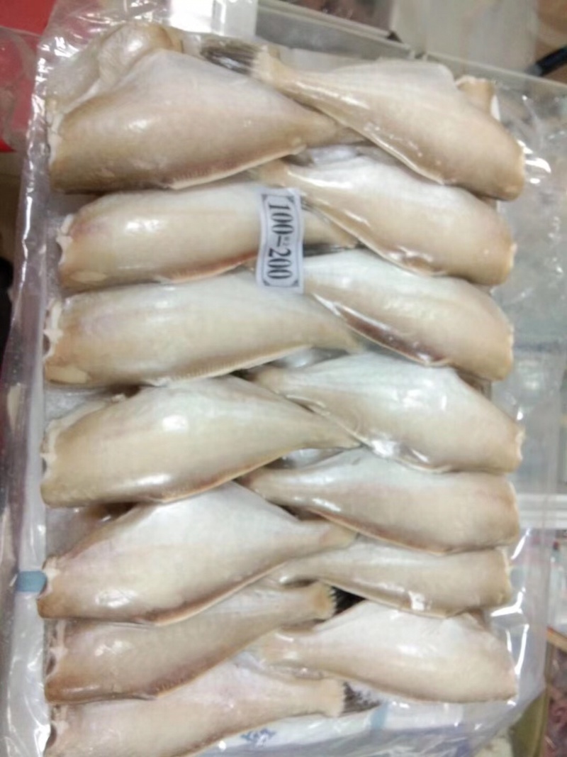 单冻板冻马面鱼