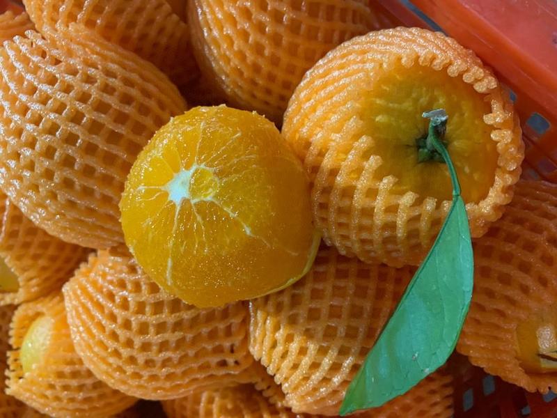 秭归脐橙回购满满香甜水润和细腻化渣是它的必备