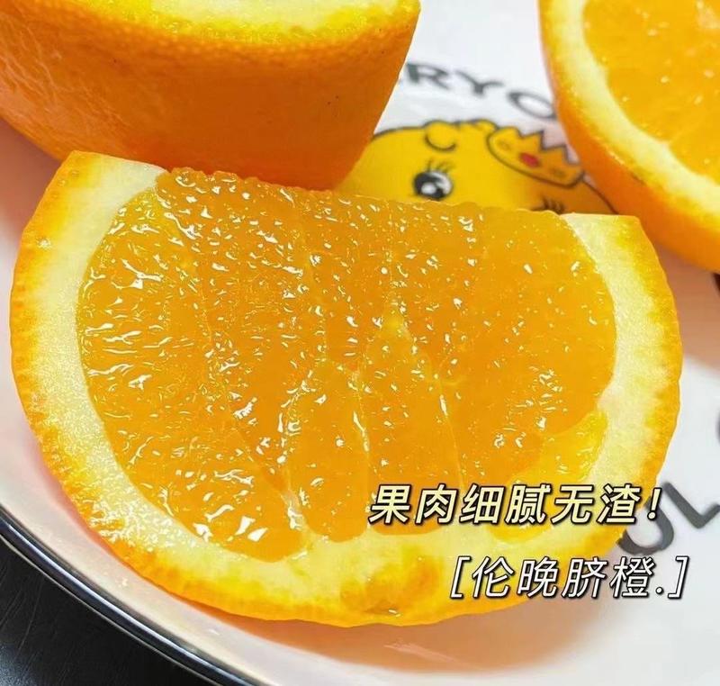 秭归脐橙回购满满香甜水润和细腻化渣是它的必备