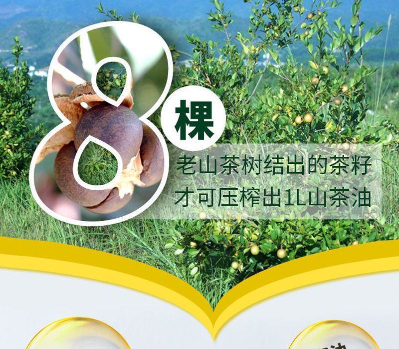 乡里清土榨茶油