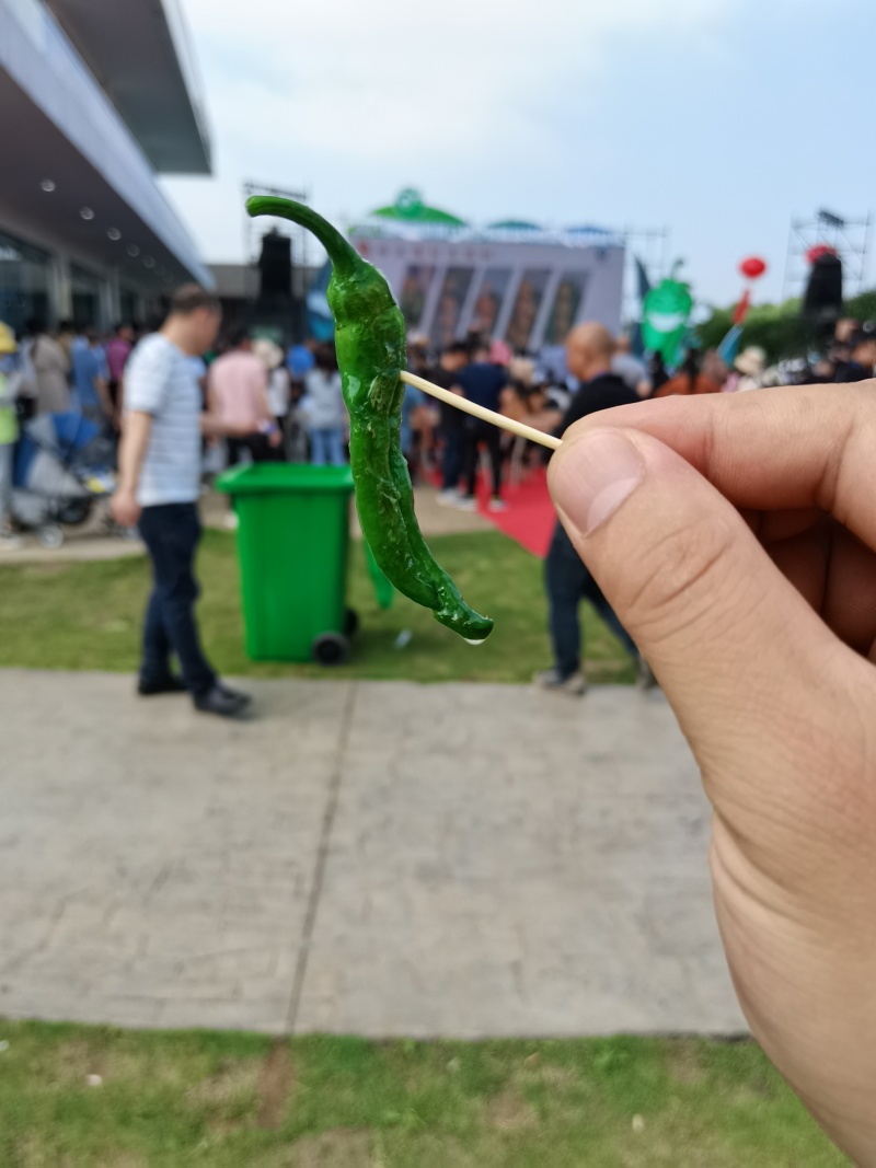 爱马仕辣椒，新苗精品