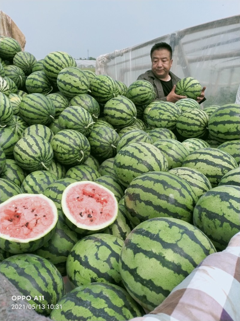 甜王西瓜，大量供应，馆陶县众康果品市