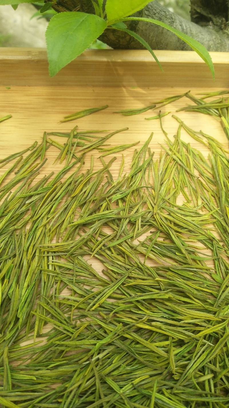 安吉白茶礼盒款100克装2罐装