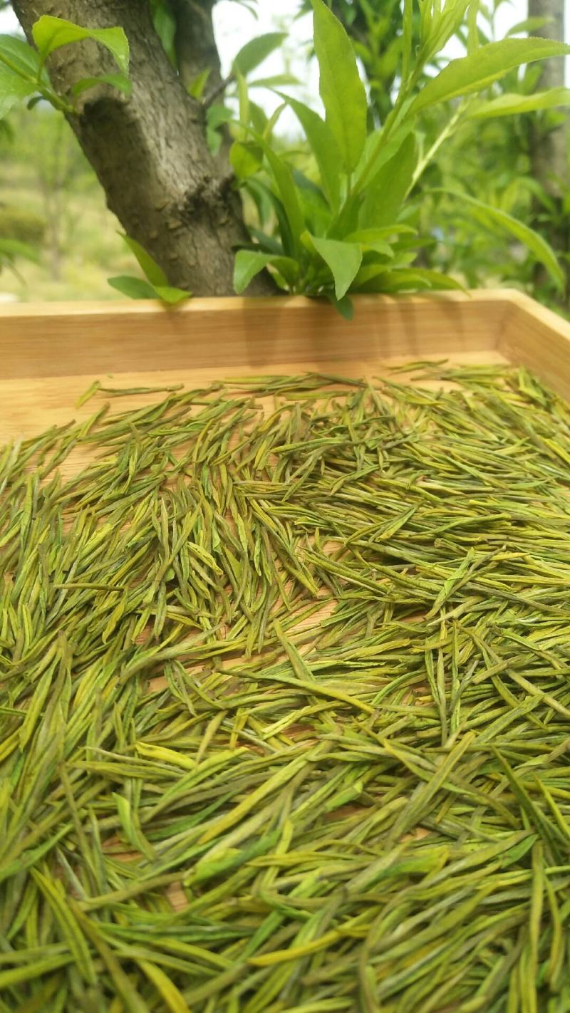 安吉白茶礼盒款100克装2罐装