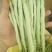 红花肉豆四季豆，量大从优，以质量求生存