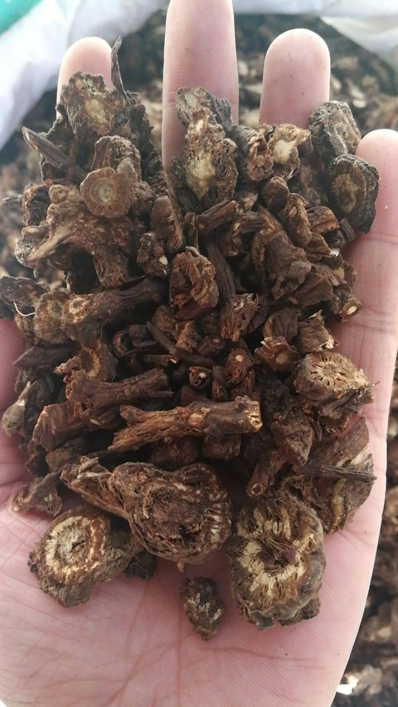 中药材羌活四川菊花心羌活川羌批发各种中药材花茶矿石