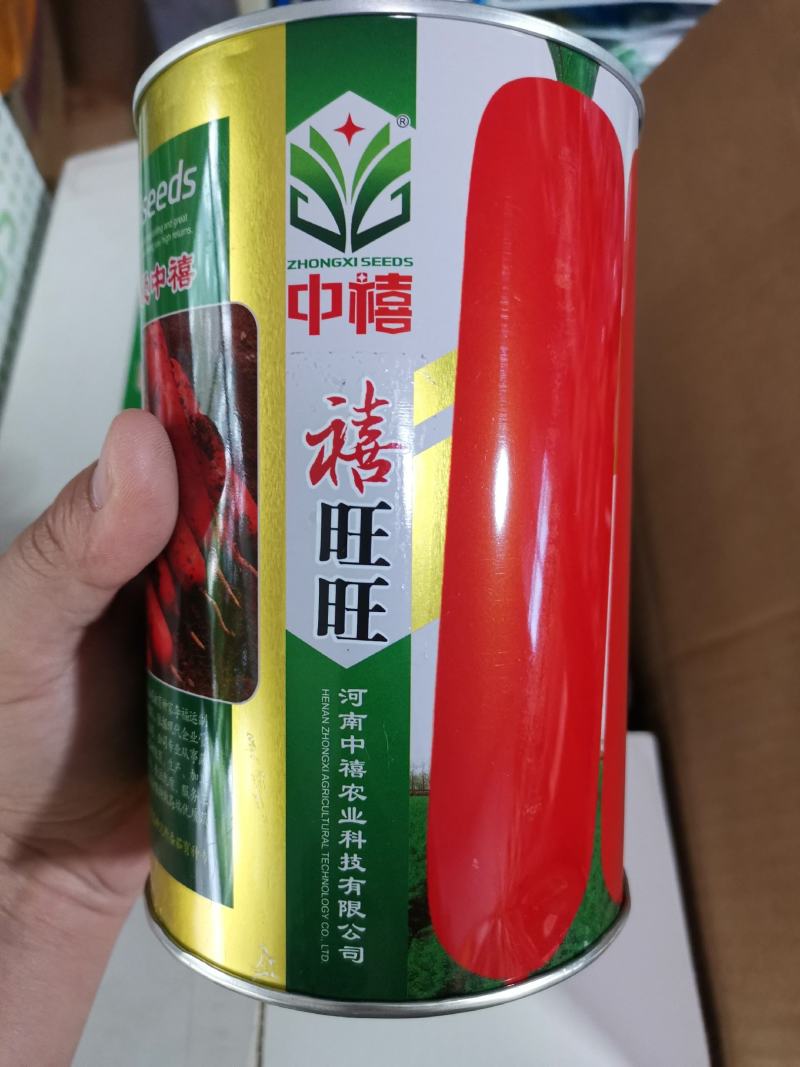 早春秋季耐抽苔进口杂交胡萝卜种子春秋兼用长势稳健