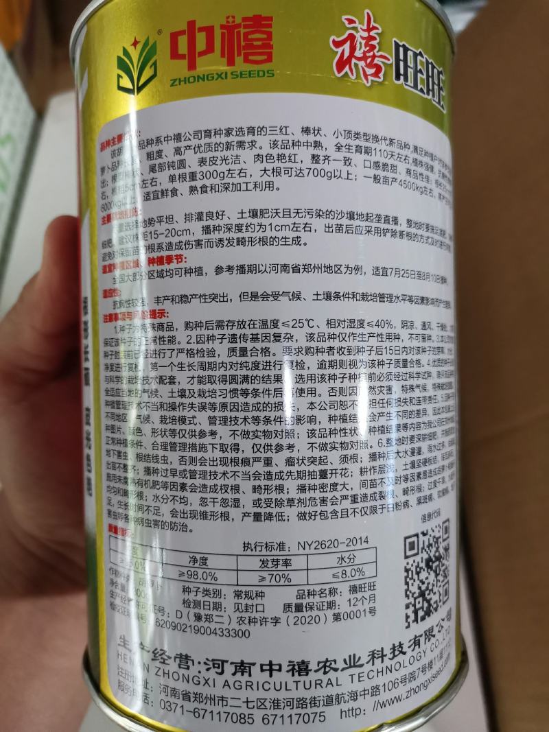 早春秋季耐抽苔进口杂交胡萝卜种子春秋兼用长势稳健