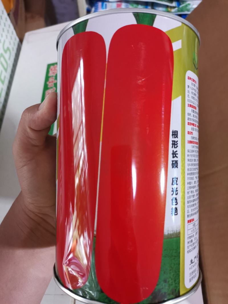 早春秋季耐抽苔进口杂交胡萝卜种子春秋兼用长势稳健