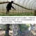 四聚乙醛蜗牛杀虫剂专杀软体动物福寿螺田螺鼻涕虫