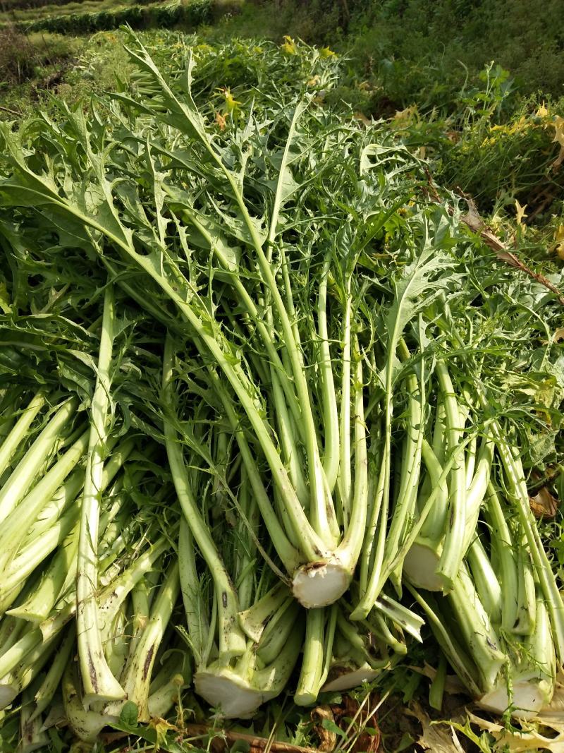 梅干菜