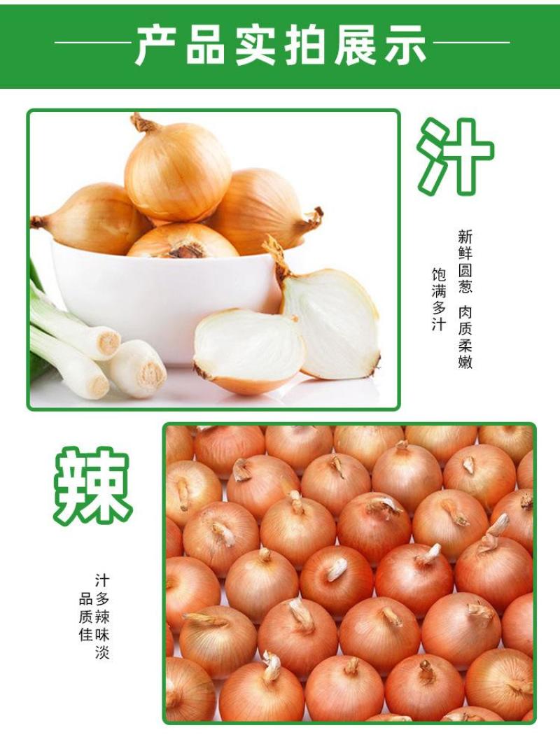 丰县洋葱大量上市，欢迎各级批发商朋友前来采购