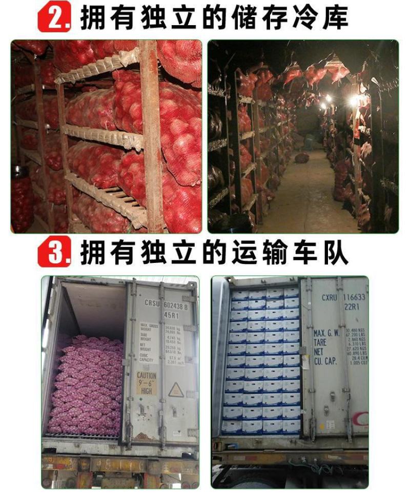 丰县洋葱大量上市，欢迎各级批发商朋友前来采购
