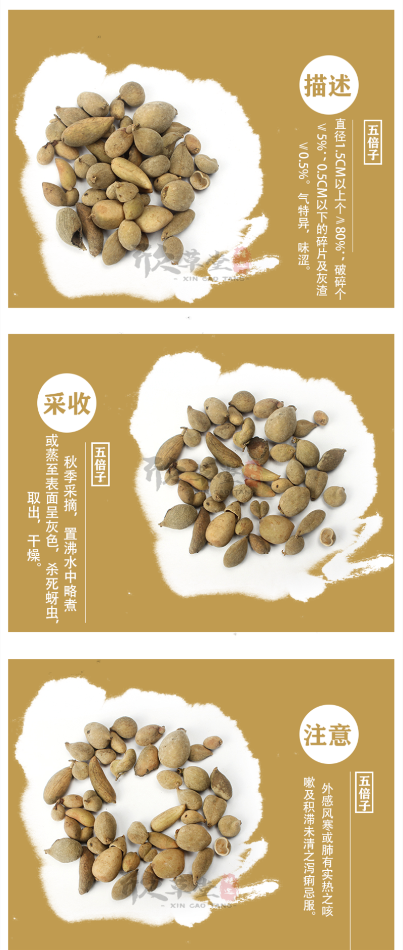 五倍子（盐麸叶上毬子,百虫仓,文蛤,木附子,漆倍子,红
