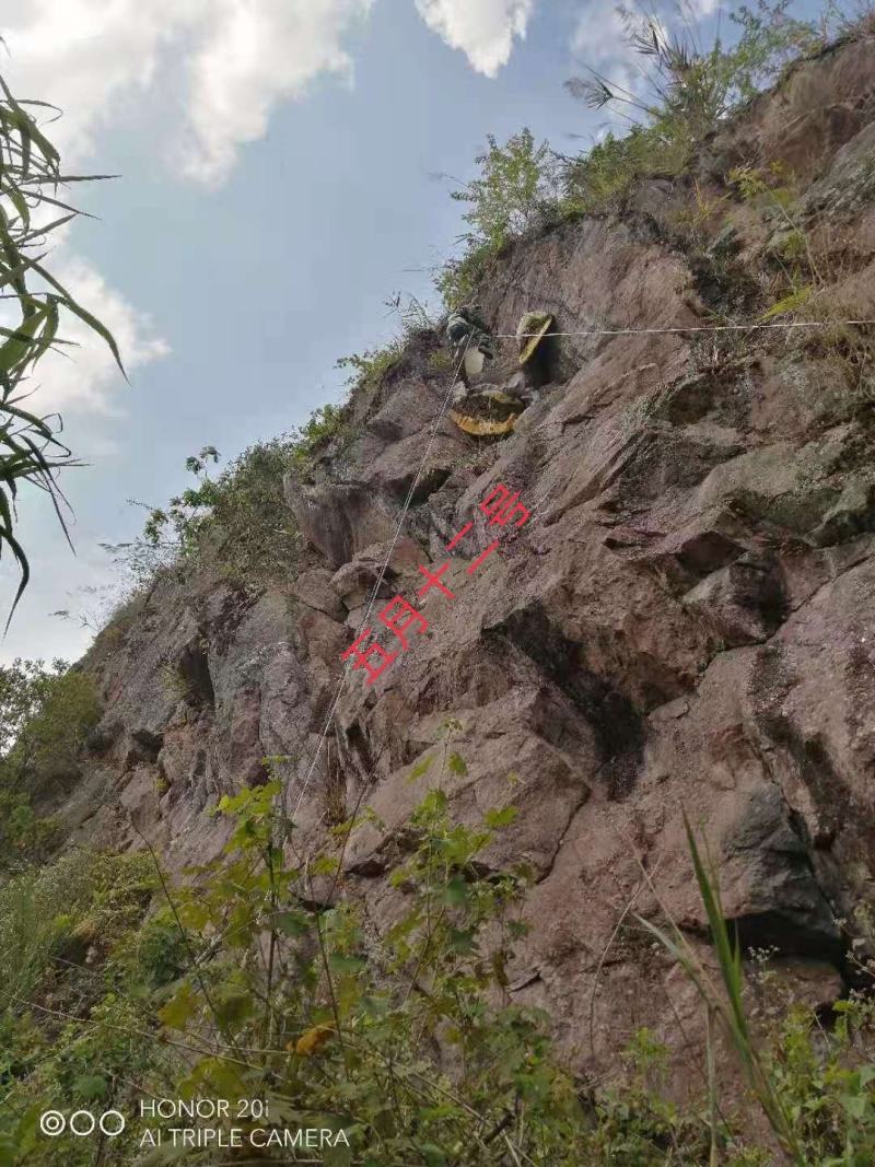 云南百花岩蜂蜜，天然无添加纯绿色无公害。可批发可零售。