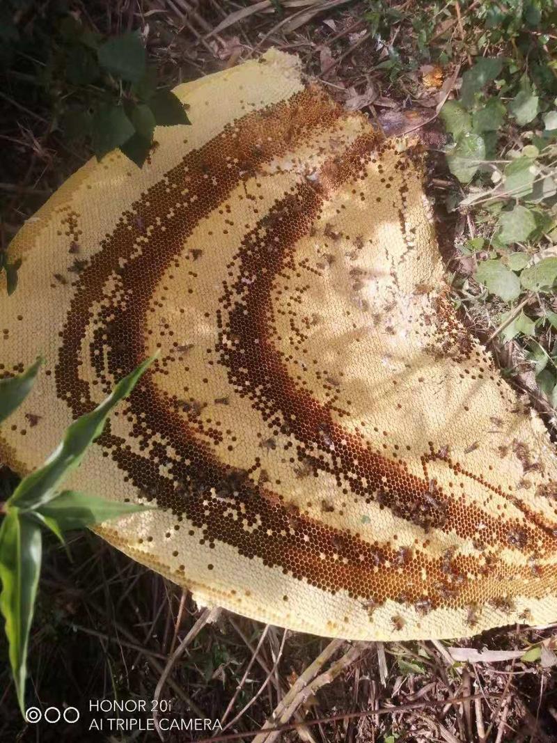 云南百花岩蜂蜜，天然无添加纯绿色无公害。可批发可零售。