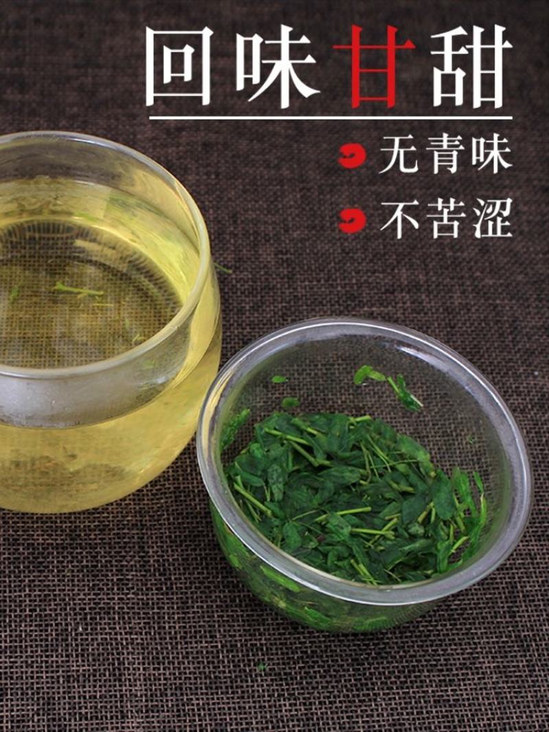 新货广西灵山相思茶解烟酒甜茶养生茶凉茶鸡骨草