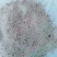 大量出售豆腐渣新鲜豆腐渣熟料蛋白货源充足