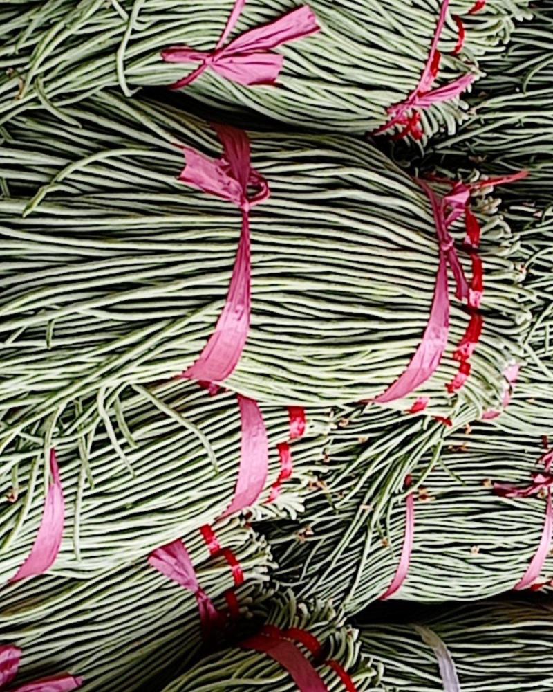 山东精品长豆角大量上市中脆嫩欢迎老板来基地考察订购