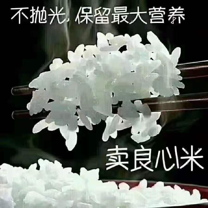 央企中粮**粮仓东北珍珠香米25kg/袋餐饮食堂专用