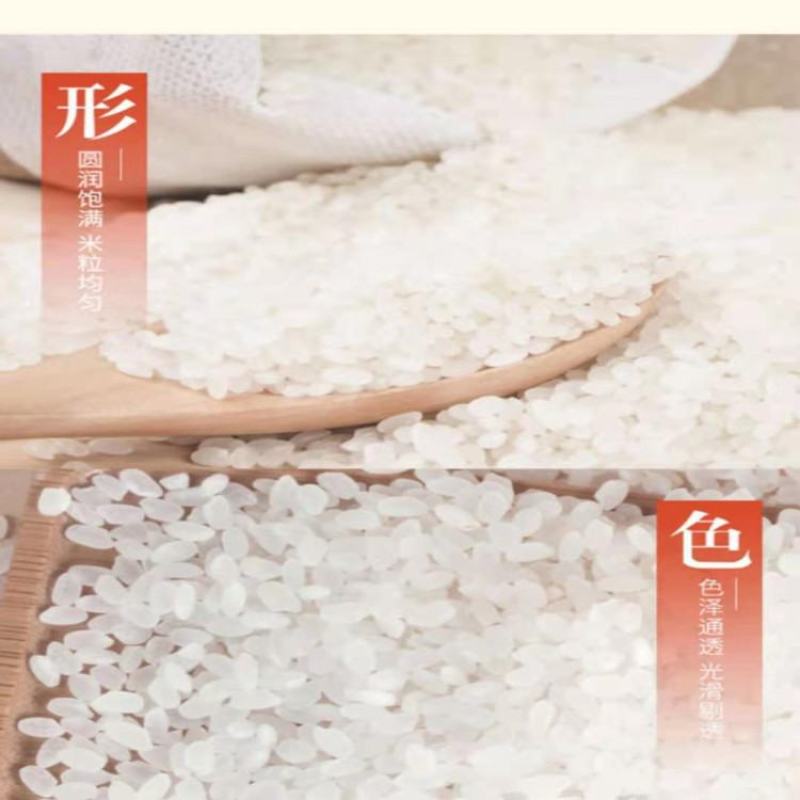 央企中粮**粮仓东北珍珠香米25kg/袋餐饮食堂专用