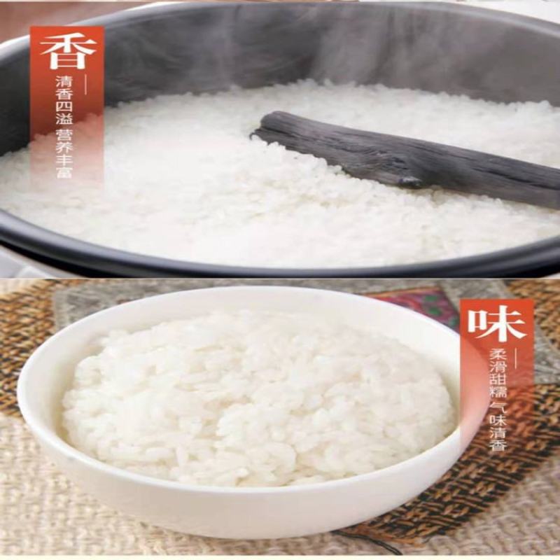 央企中粮**粮仓东北珍珠香米25kg/袋餐饮食堂专用