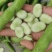 白米大蚕豆，七星蚕豆，青米大蚕豆，新鲜蚕豆，产地直销