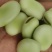 白米大蚕豆，七星蚕豆，青米大蚕豆，新鲜蚕豆，产地直销