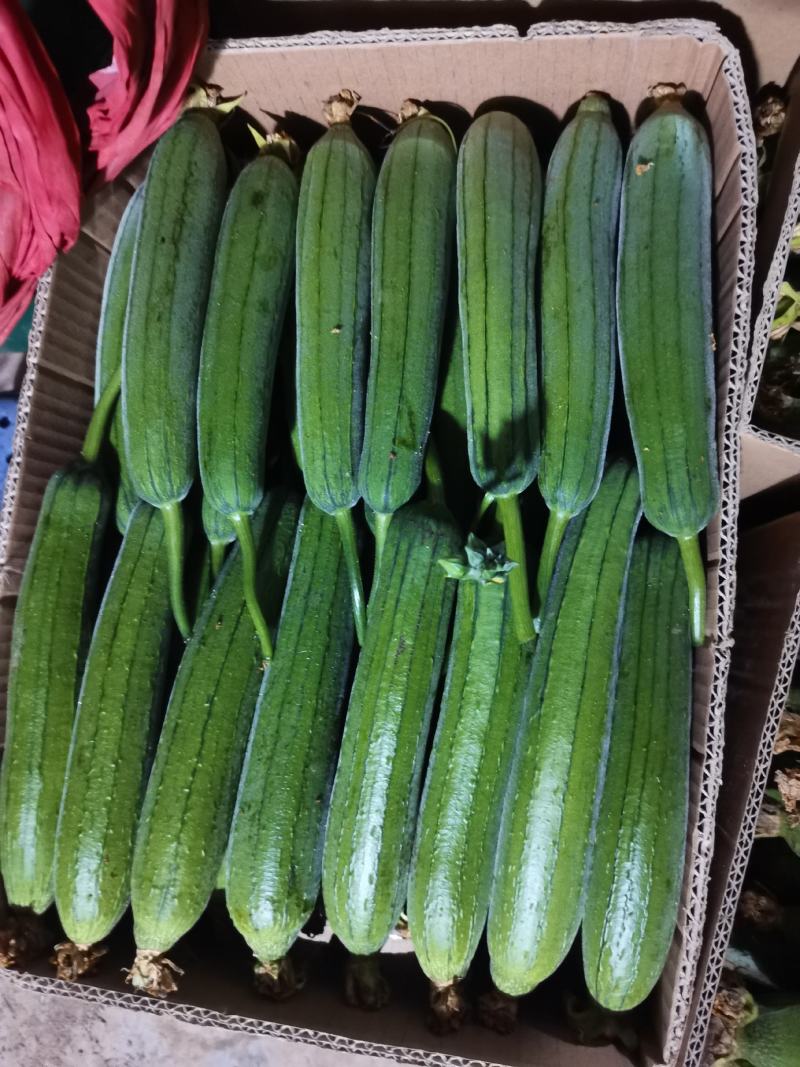 丝瓜