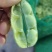 云南毛豆大量上市：开心翠绿宝质量保证产地直发