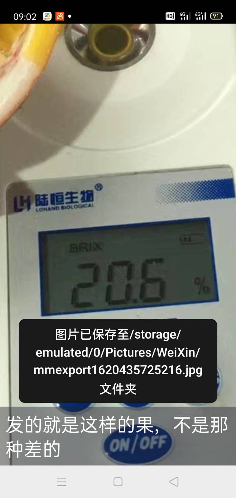 广西金秀县圣堂山百香果，好吃且香甜，产地直销，一件代发