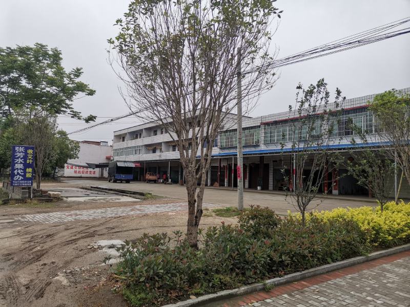 湖北油桃518曙光千年红金勺中油大量供应
