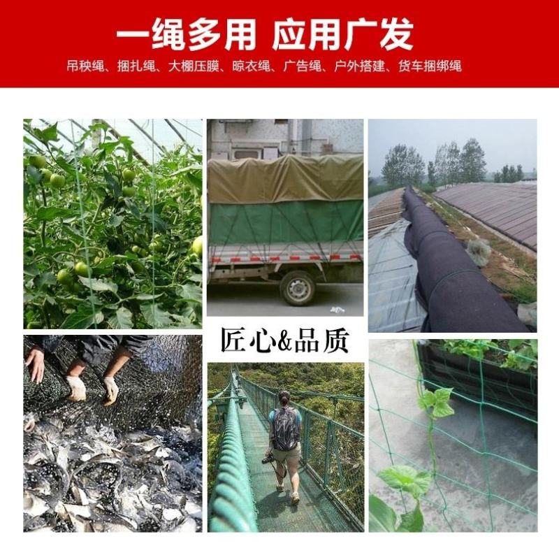 防老化吊蔓绳吊秧绳大棚用塑料绳子黄瓜西红柿绑蔓蔬菜吊蔓绳