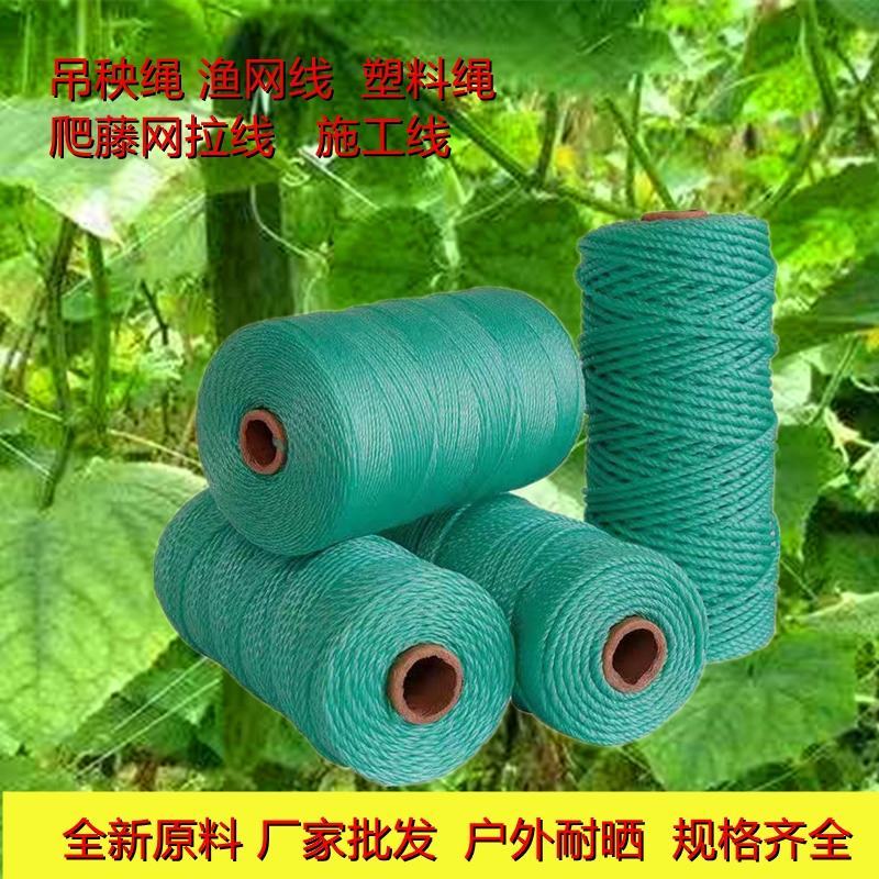 防老化吊蔓绳吊秧绳大棚用塑料绳子黄瓜西红柿绑蔓蔬菜吊蔓绳