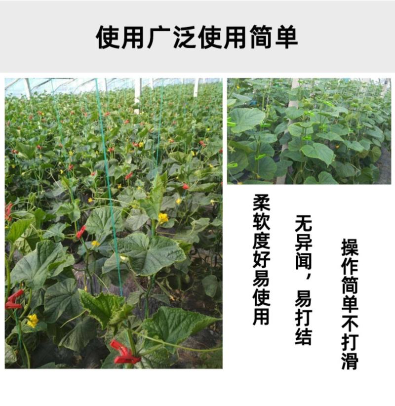 防老化吊蔓绳吊秧绳大棚用塑料绳子黄瓜西红柿绑蔓蔬菜吊蔓绳