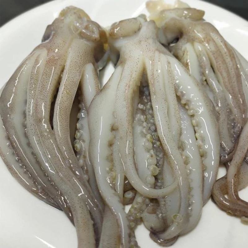 新鲜冷冻鱿鱼头阿尤头鱿鱼须海鲜串大鱿鱼足铁板烧烤食材包邮