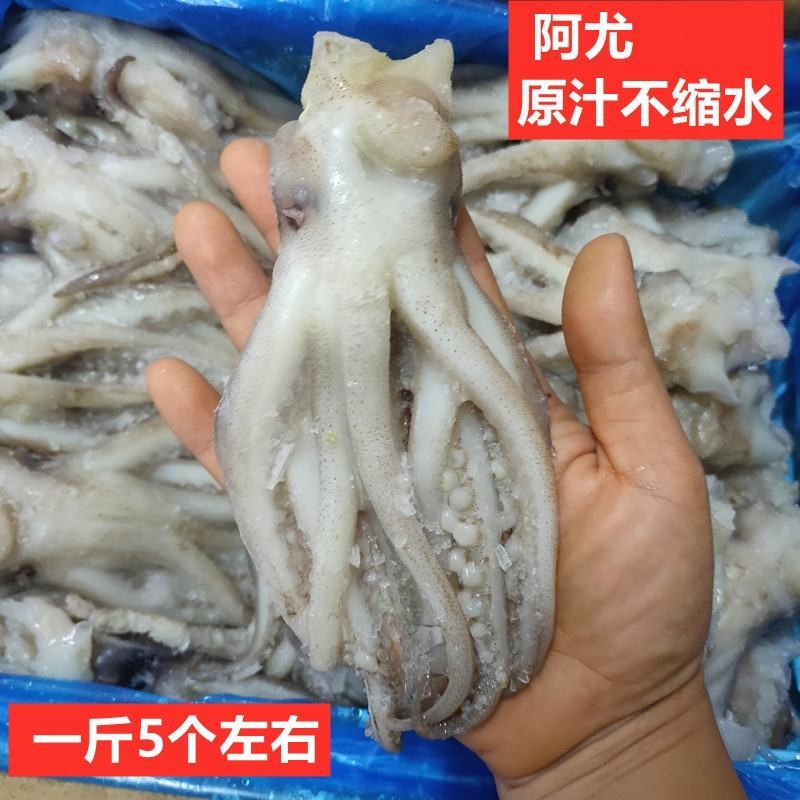 新鲜冷冻鱿鱼头阿尤头鱿鱼须海鲜串大鱿鱼足铁板烧烤食材包邮