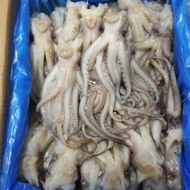 新鲜冷冻鱿鱼头阿尤头鱿鱼须海鲜串大鱿鱼足铁板烧烤食材包邮
