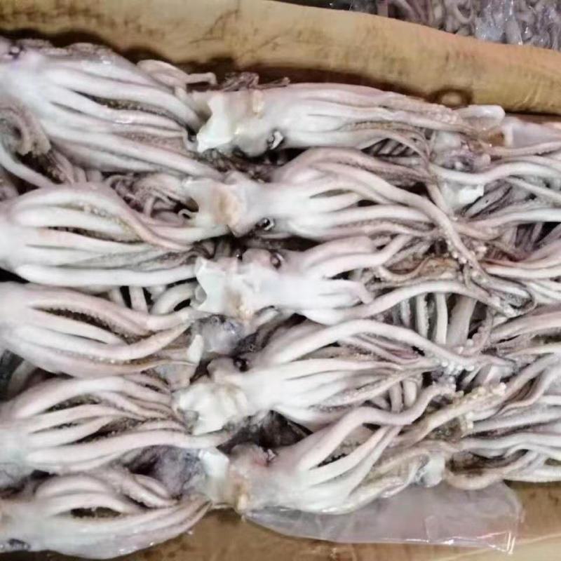 新鲜冷冻鱿鱼头阿尤头鱿鱼须海鲜串大鱿鱼足铁板烧烤食材包邮