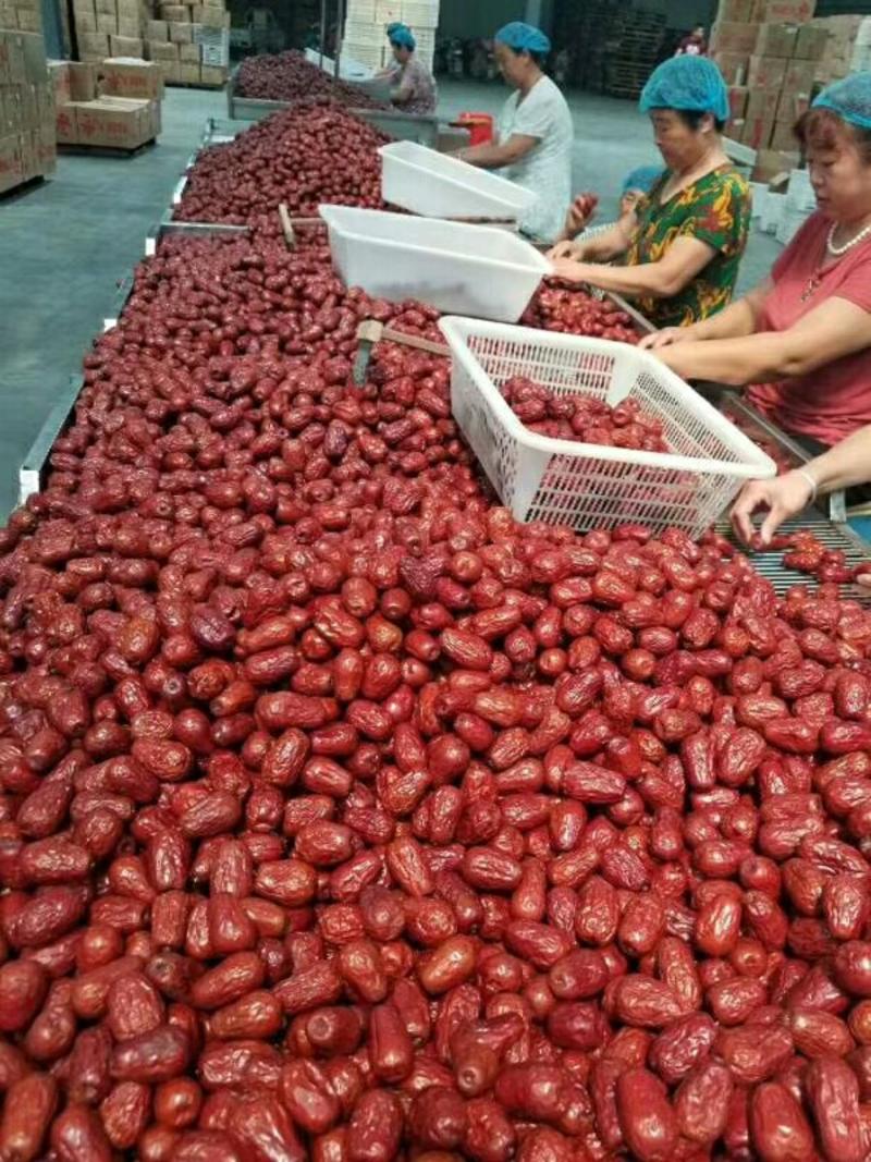厂家批发人工去核红枣去核若羌灰枣，规格全，优质货源