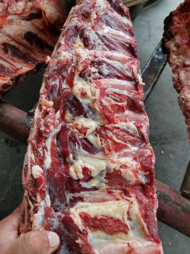 牛脊骨带肉牛骨可加工锯断可用于自助餐骨头馆