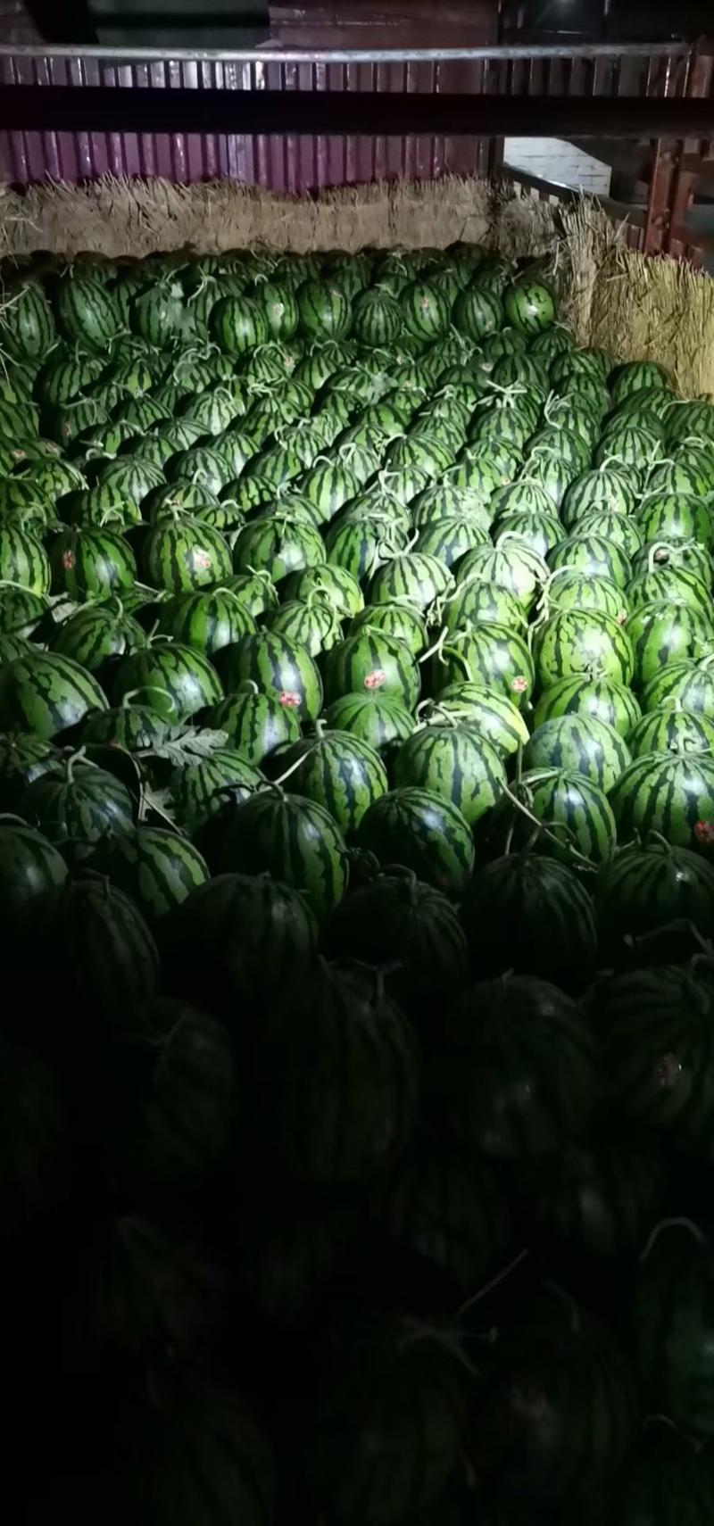 湖南岳阳麒麟西瓜，精品麒麟西瓜，量大从优，现大量上市