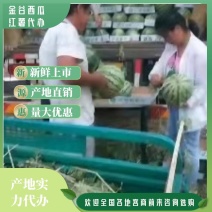 大棚早佳8424西瓜已上市欢迎来电洽谈长期合作