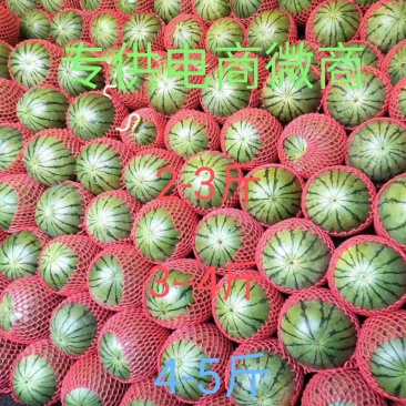 山东潍坊全美2k西瓜大量上市中价格优惠量大从优