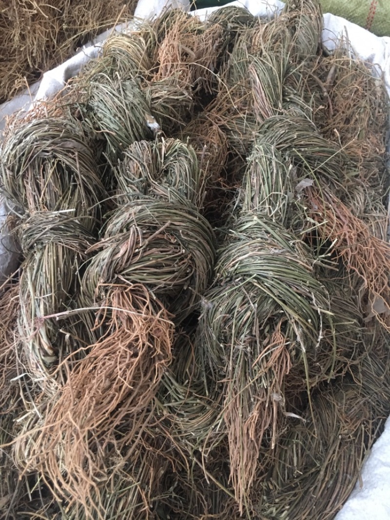 辽刁徐长卿徐长卿中药材批发零售