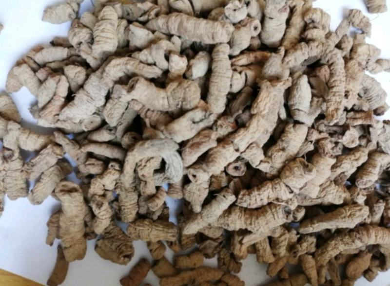 巴戟天统装500g产地广西振兴药材购销站量大从