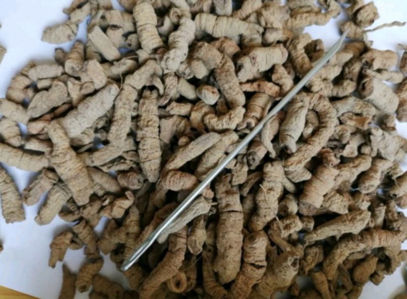 巴戟天统装500g产地广西振兴药材购销站量大从