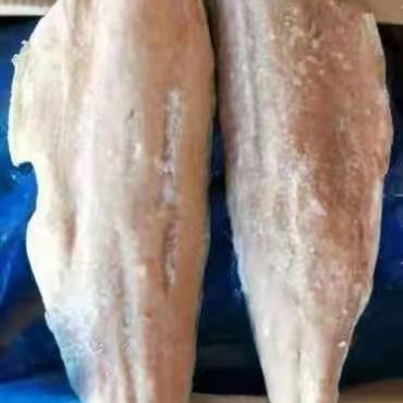 马哈鱼，鱼副水产加工品，深海鱼马哈鱼黑龙江特产